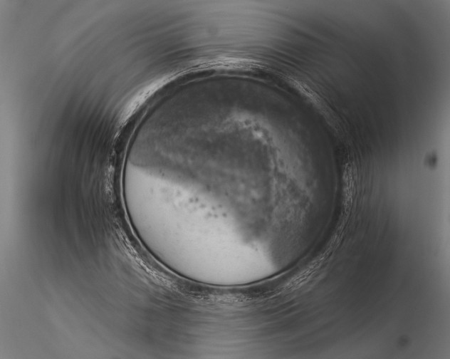 X0000116021066200912111346