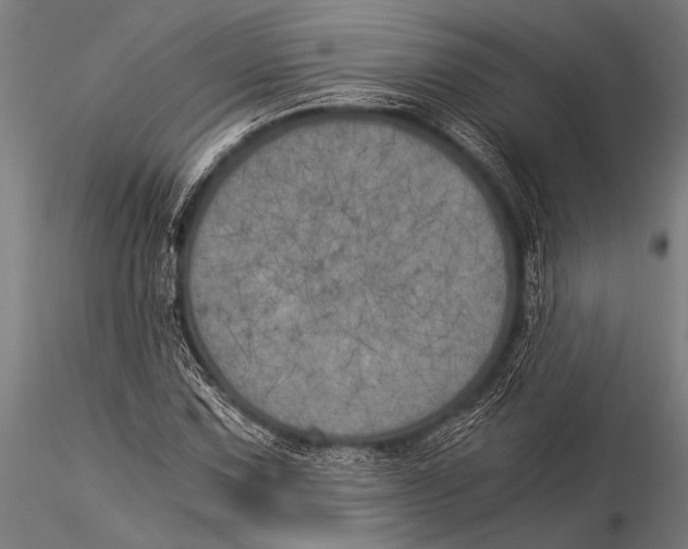 X0000116021067200912111346