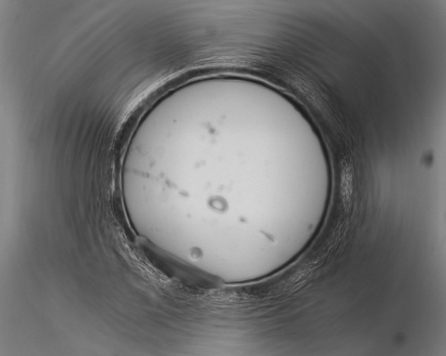 X0000116021069200912111346