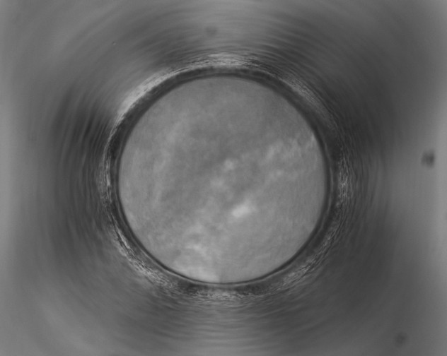 X0000116021070200912111346