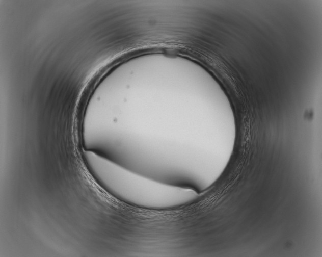 X0000116021072200912111346