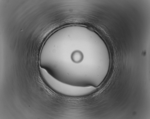 X0000116021073200912111346