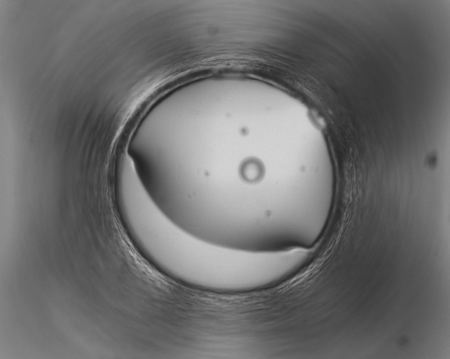 X0000116021075200912111346