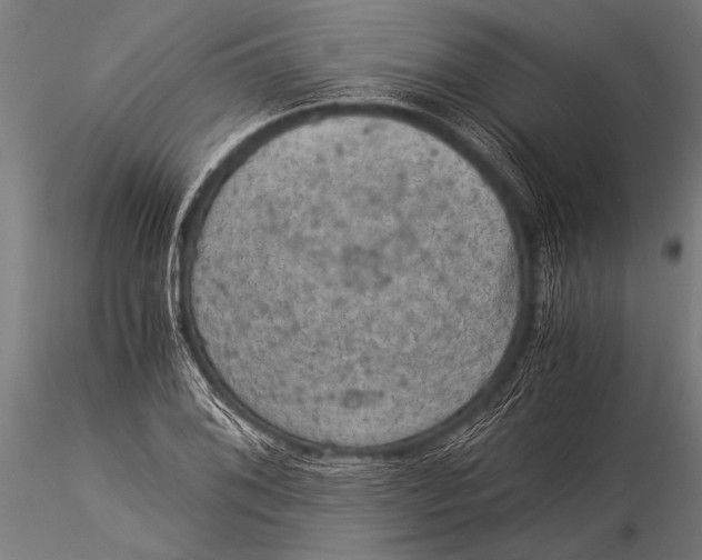 X0000116021076200912111346