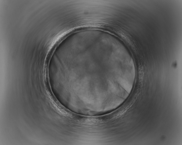 X0000116021077200912111346