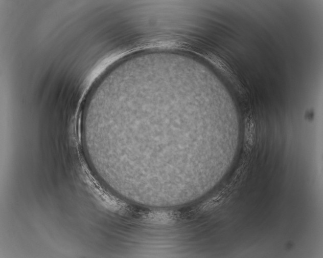 X0000116021078200912111346