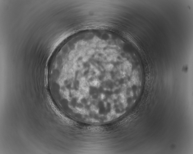 X0000116021079200912111346