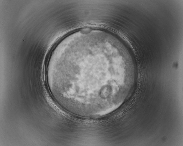 X0000116021080200912111346