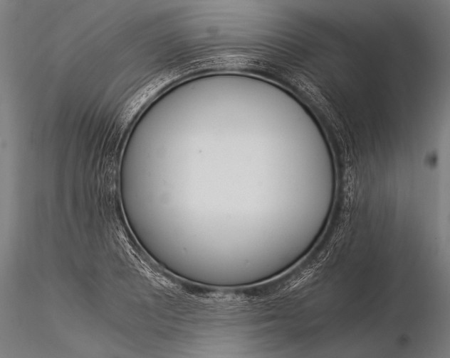 X0000116021081200912111346