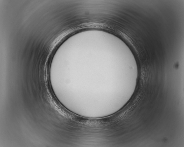 X0000116021082200912111346