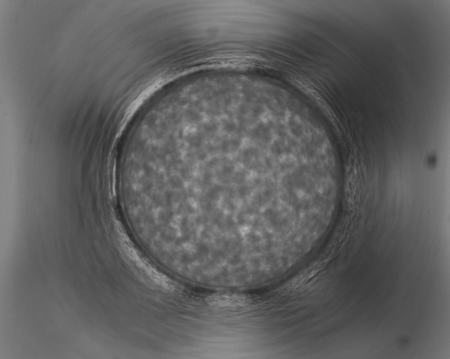 X0000116021083200912111346