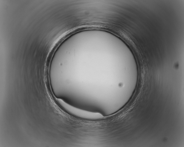 X0000116021085200912111346