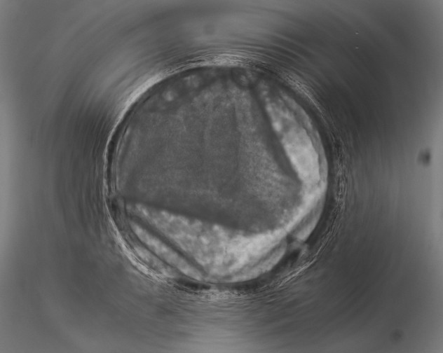 X0000116021087200912111346