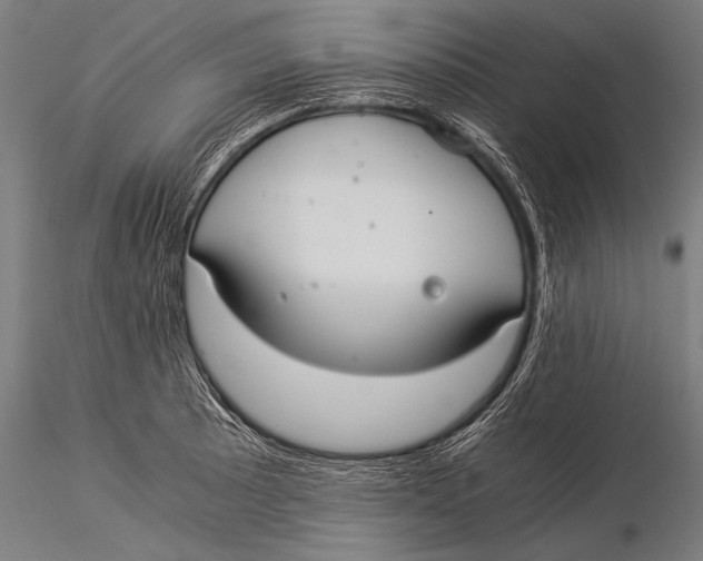 X0000116021089200912111346