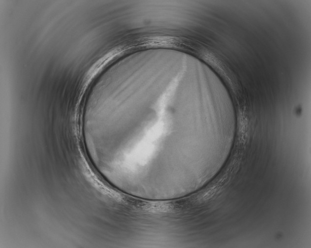 X0000116021090200912111346