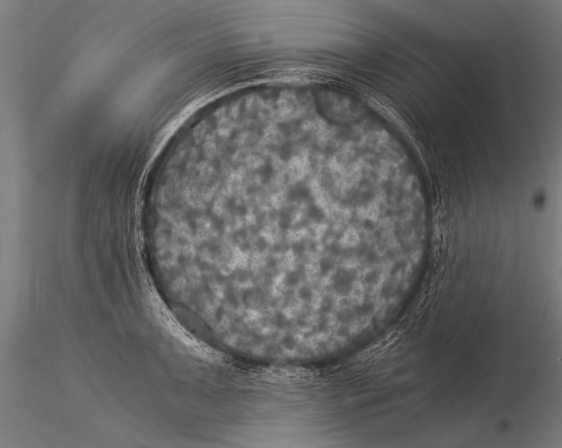 X0000116021091200912111346