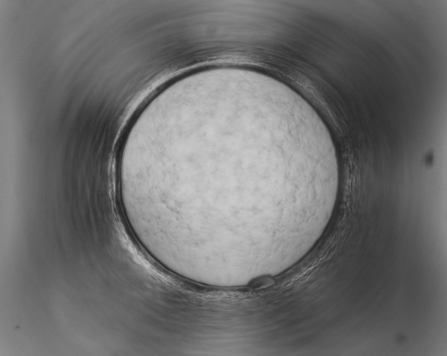 X0000116021092200912111346