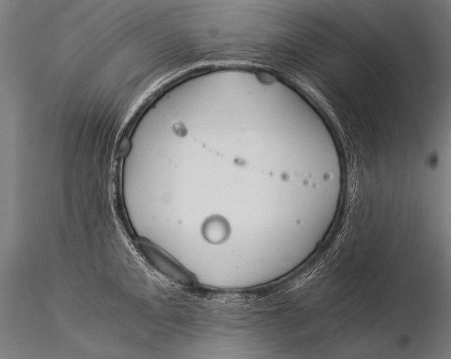 X0000116021093200912111346