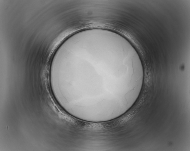 X0000116021094200912111346