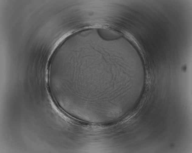 X0000116021095200912111346