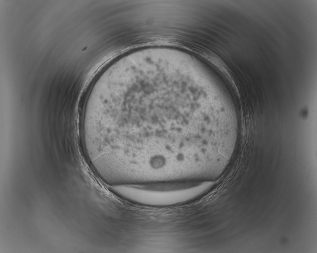 X0000116021096200912111346