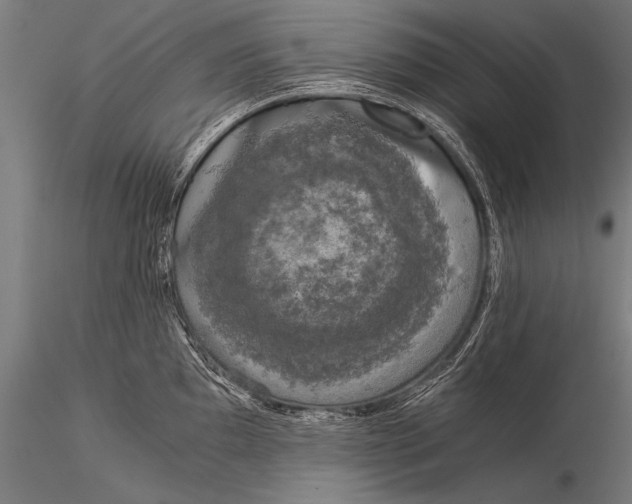 X0000116021097200912111346