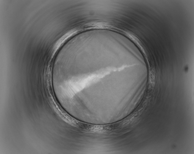 X0000116021098200912111346