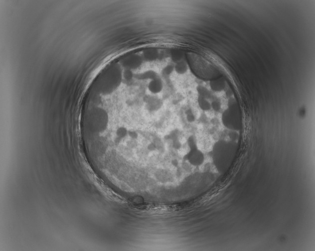 X0000116021099200912111346