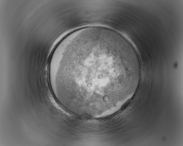 X0000116021100200912111346