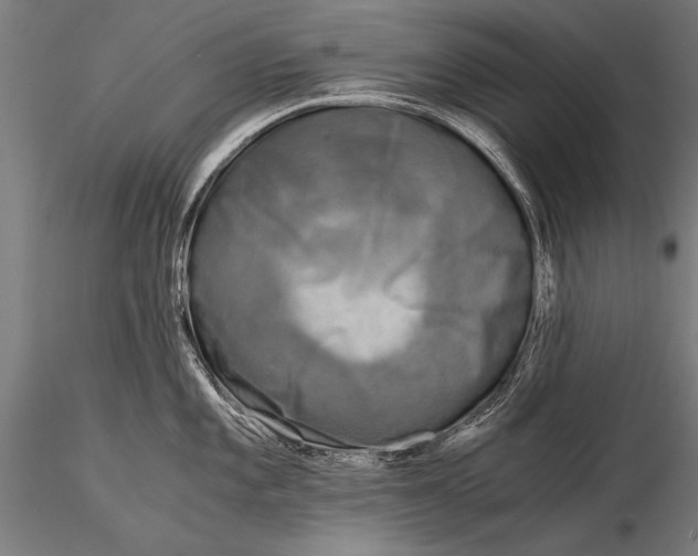 X0000116021101200912111346