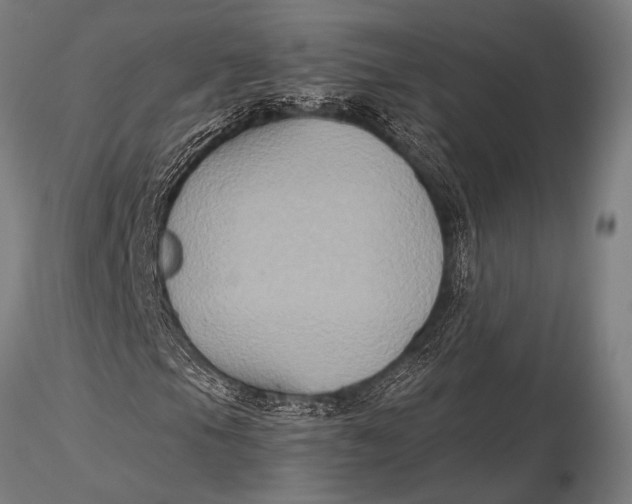 X0000116021105200912111345