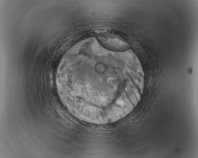 X0000116021106200912111345