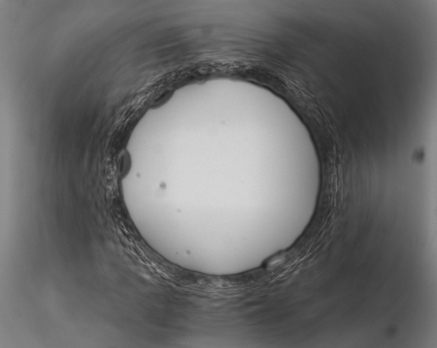 X0000116021109200912111345