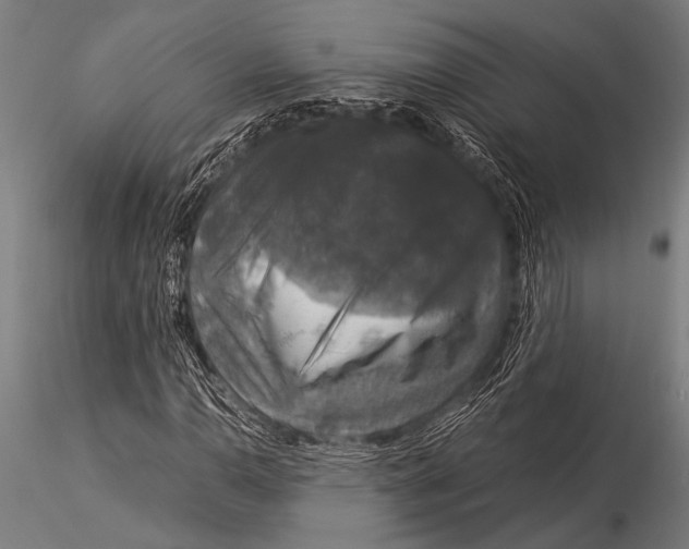 X0000116021110200912111345