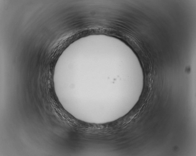 X0000116021111200912111345