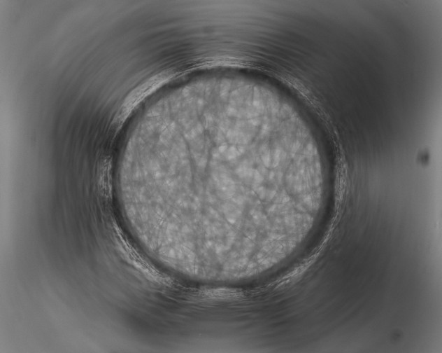 X0000116021113200912111345