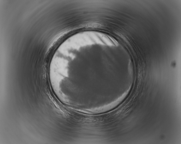 X0000116021115200912111345