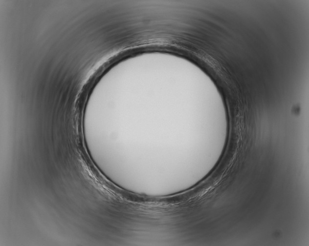 X0000116021118200912111345