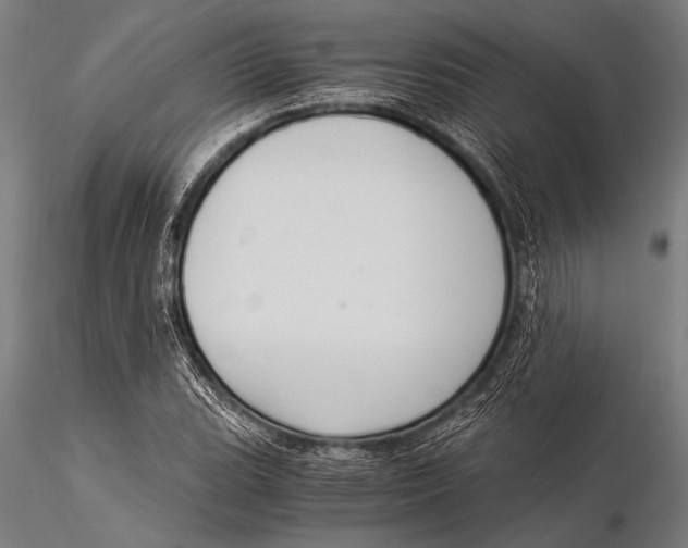 X0000116021119200912111345