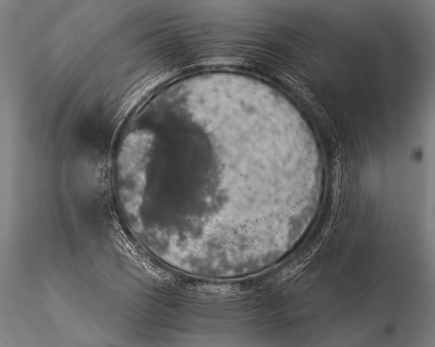 X0000116021121200912111345