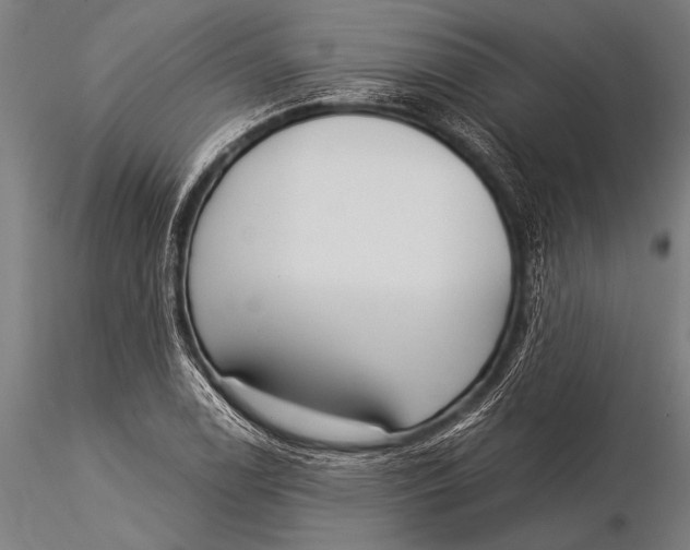 X0000116021122200912111345