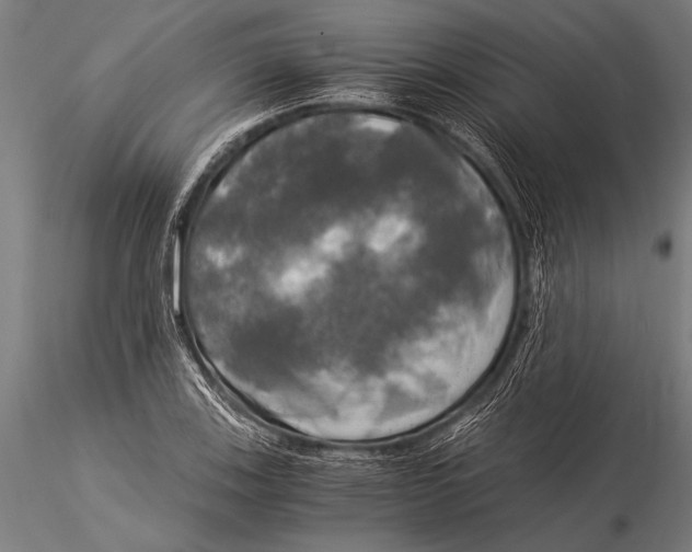 X0000116021123200912111345