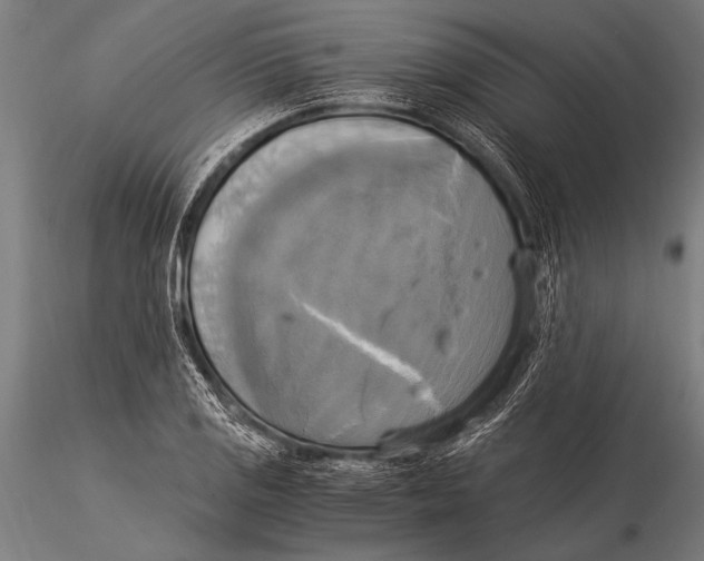 X0000116021125200912111345