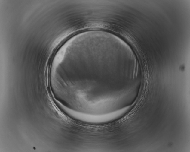 X0000116021127200912111345