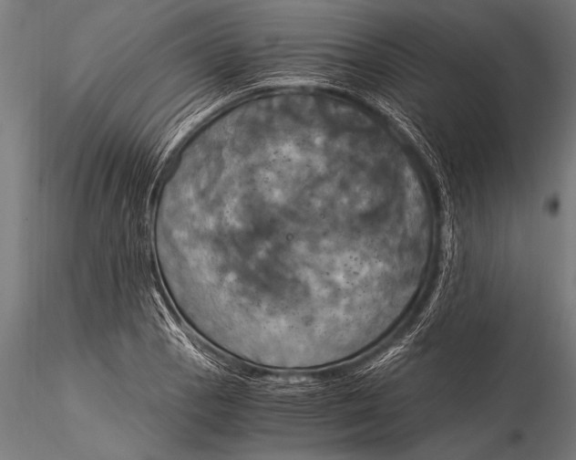 X0000116021129200912111345