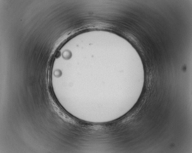 X0000116021130200912111345