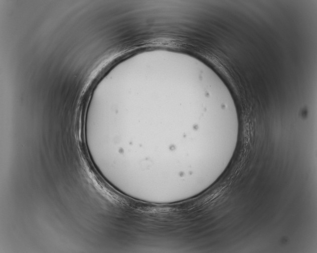 X0000116021131200912111345