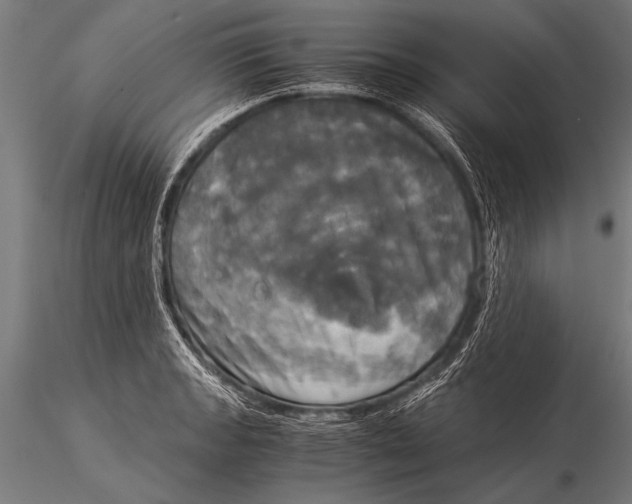 X0000116021133200912111345