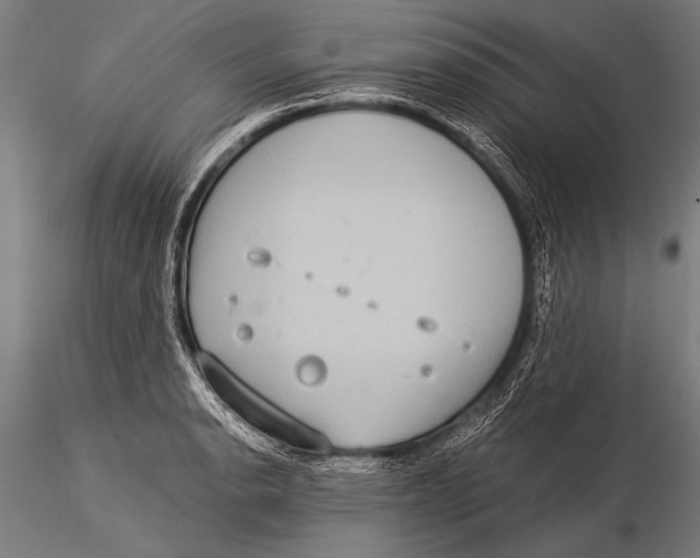 X0000116021134200912111345