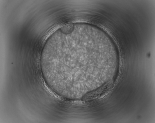 X0000116021137200912111345